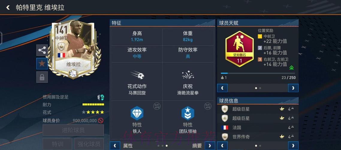 全面解析世界杯数据平台
